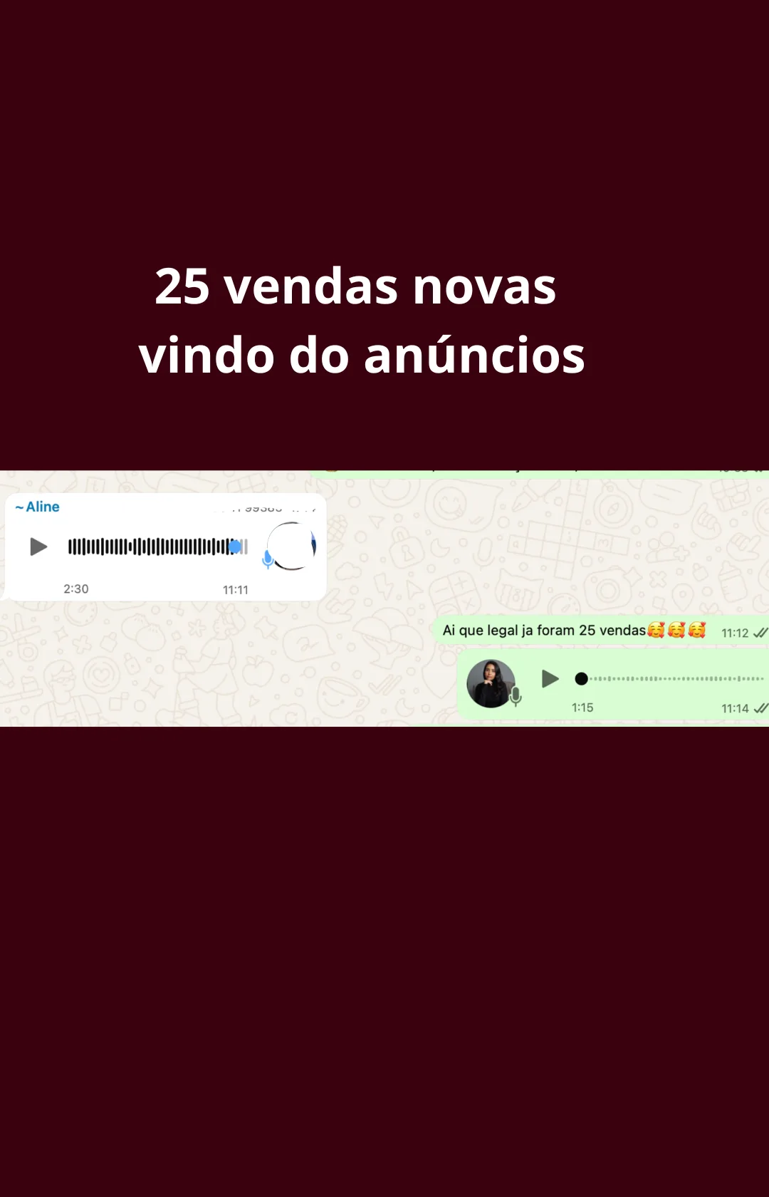 Print de WhatsApp: 25 vendas novas vindas dos anúncios